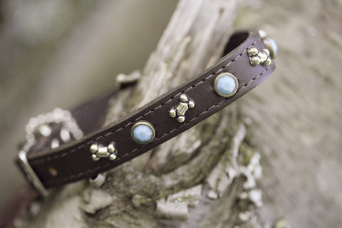 Brown Leather Turquoise and Bone Dog Collar