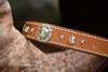Equestrian Concho Crystal Dog Collar With Personalized Engraved Name Plate