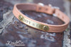 Small Dog Leather Collar