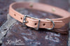Small Dog Leather Collar