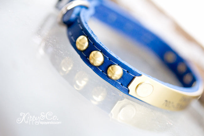 Tny Personalized Leather Dog Collar