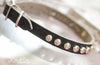 Small Studded leather collar with personalized name plate and silver studs