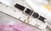 Small Studded leather collar with personalized name plate and silver studs