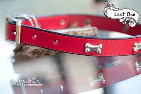 Red Leather Collar With Bones