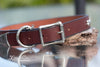 Brown Leather Dog Collar With Silver Bones