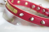 Spike Dog Collar