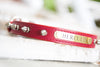Leather Collar With Silver Spikes and Engraved Brass Name Plate