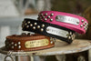 Leather Studded Dog Collar With Engraved Name Plate in Brass or Silver