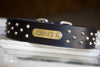 Bullmastiff Leather Studded Dog Collar 2 inch wide with Personalized Name Plate
