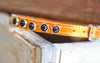 Biker Orange Collar with Black Swarovski Crystals and personalized name plate