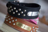 2 inch leather dog collar with silver cone studs and a brass or silver name plate