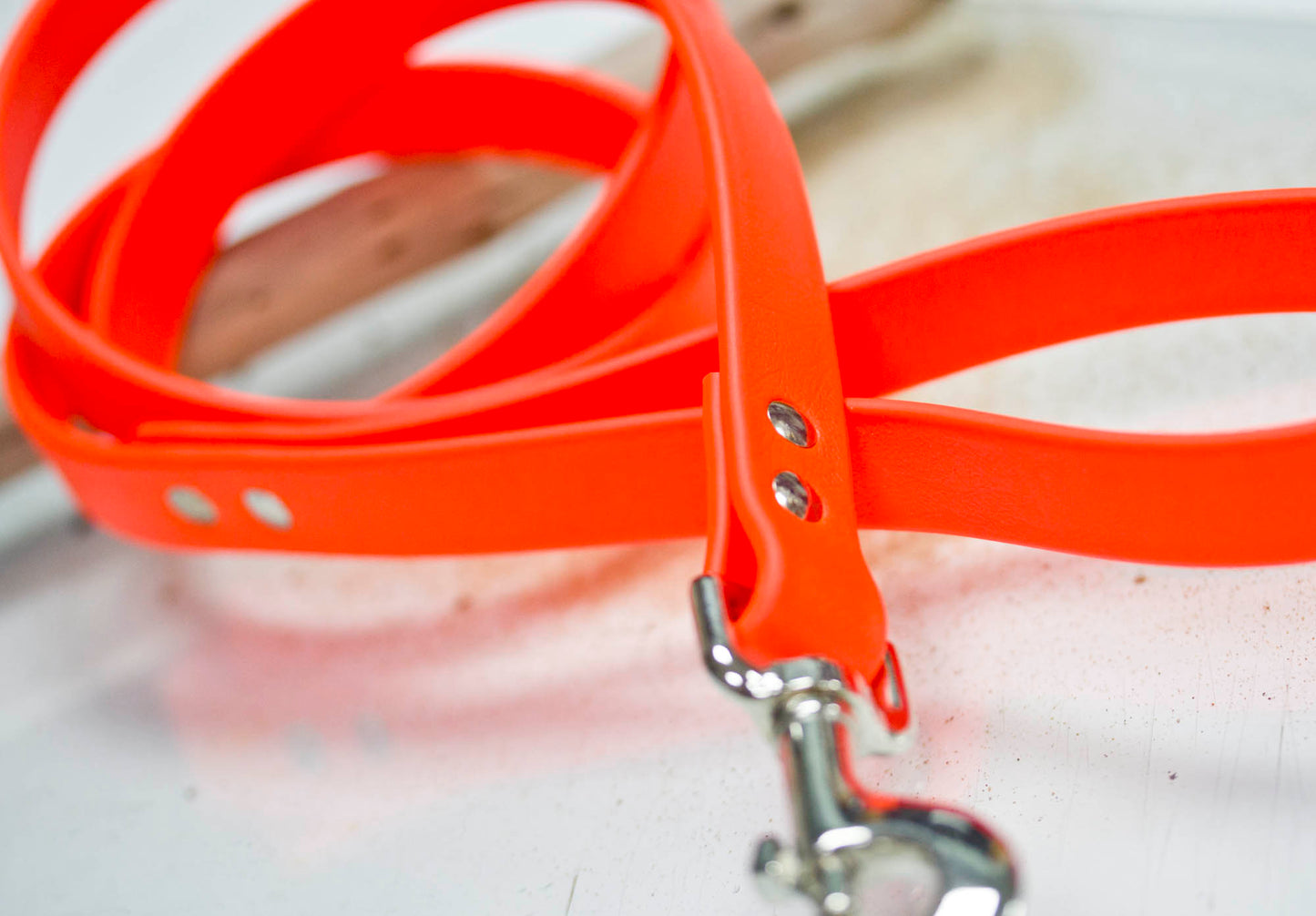 Waterproof Dog Leash