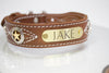 Leather Collar with Texas Stars conchos and engraved name plate