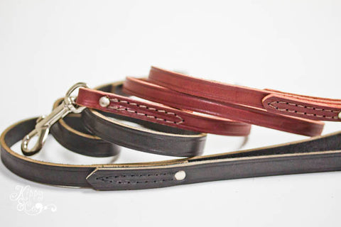 Leather Stitched Dog Leash