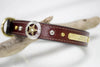 Texas Star Leather Collar with nickel and brass spots and personalized name plate
