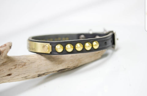 Small Leather Studded Collar