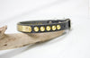 Small Leather Collar With Personalized Name Plate and Brass Cone Studs