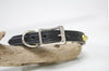 1/2 inch wide leather collar with a personalized engraved name plate and brass cone studs