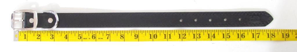 Measuring Your Dog