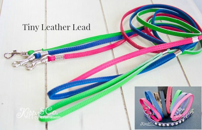 Tiny Leather Leash