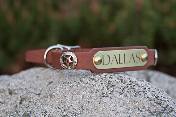 Texas Star Leather Collar